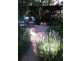 105 Wybalena Grove, Cook ACT 2614