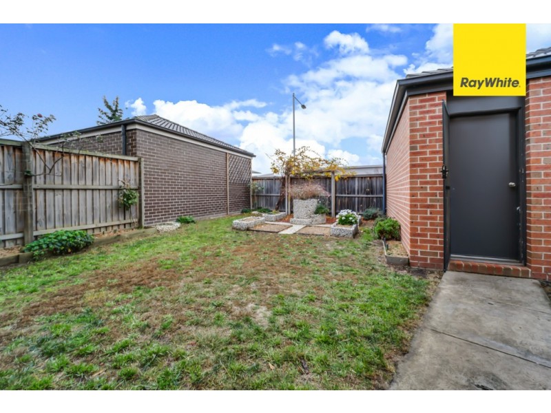 174 Oodgeroo Avenue, Franklin ACT 2913