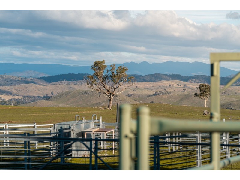 2963 Dog Trap Road, Jeir NSW 2582