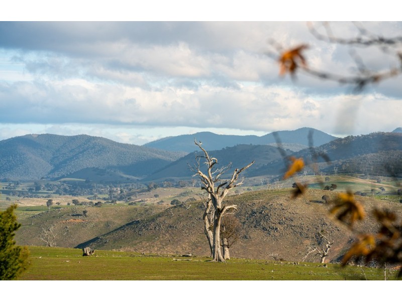 2963 Dog Trap Road, Jeir NSW 2582