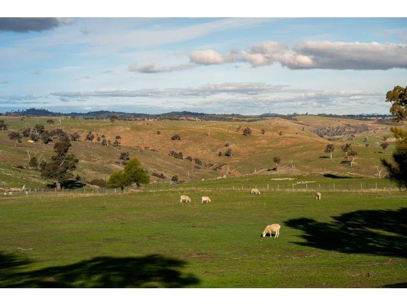 2963 Dog Trap Road, Jeir NSW 2582