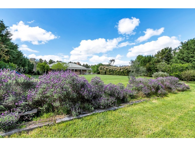 2963 Dog Trap Road, Jeir NSW 2582