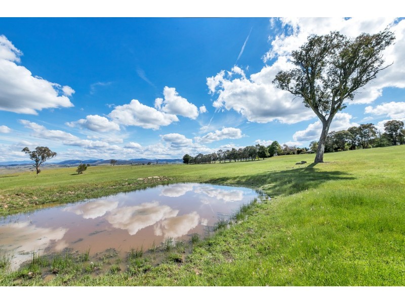 2963 Dog Trap Road, Jeir NSW 2582