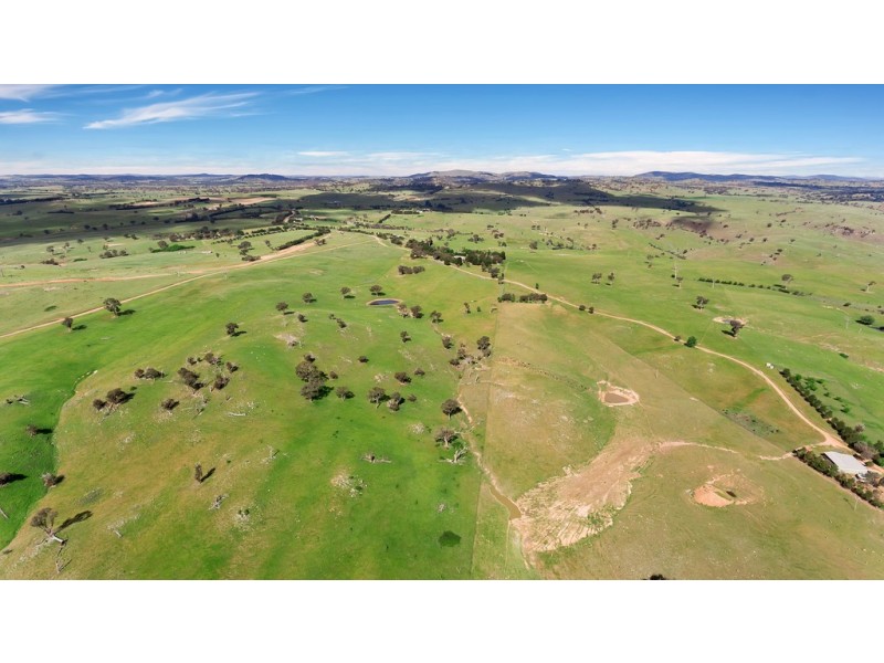 2963 Dog Trap Road, Jeir NSW 2582