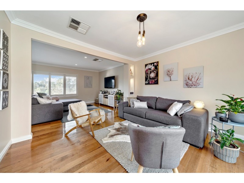 11 Arndell Street, Macquarie ACT 2614