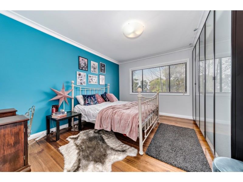 11 Arndell Street, Macquarie ACT 2614