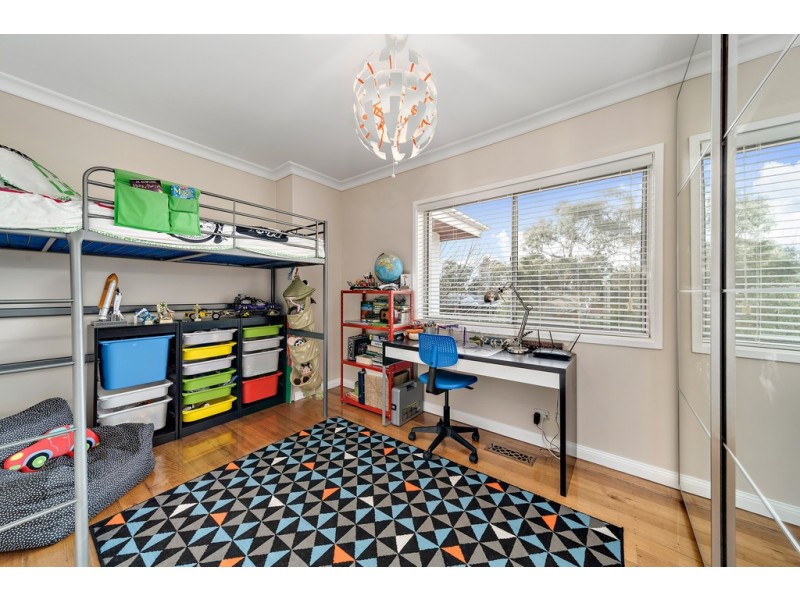 11 Arndell Street, Macquarie ACT 2614