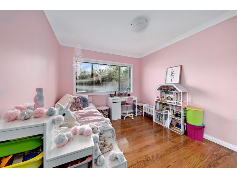 11 Arndell Street, Macquarie ACT 2614