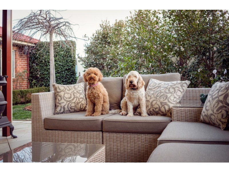 52 Percy Begg Circuit, Dunlop ACT 2615