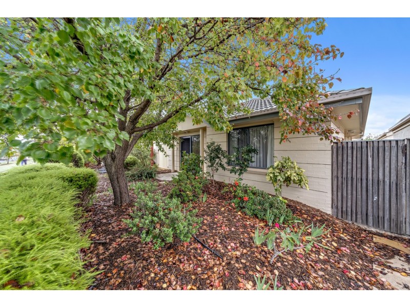 3/1 MacNaughton Street, Holt ACT 2615