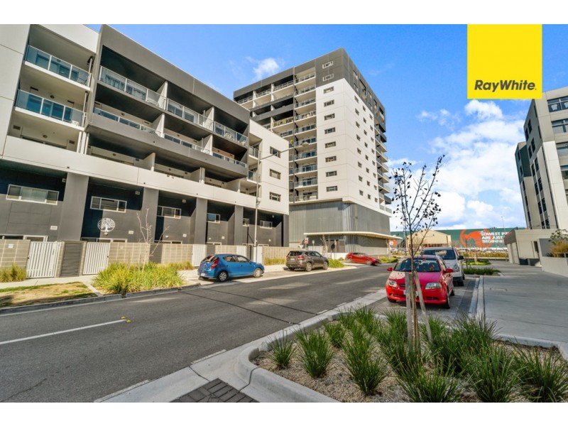 310/325 Anketell Street, Greenway ACT 2900