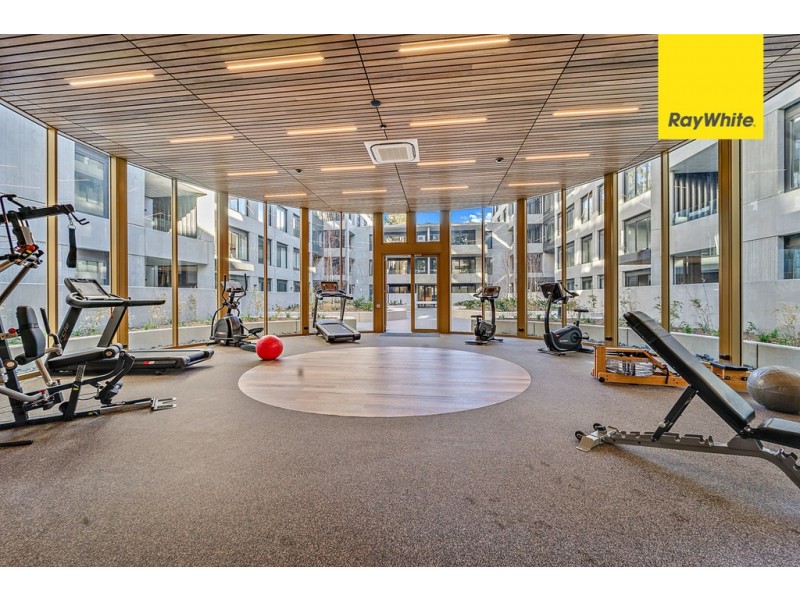 124/217 Northbourne Avenue, Turner ACT 2612