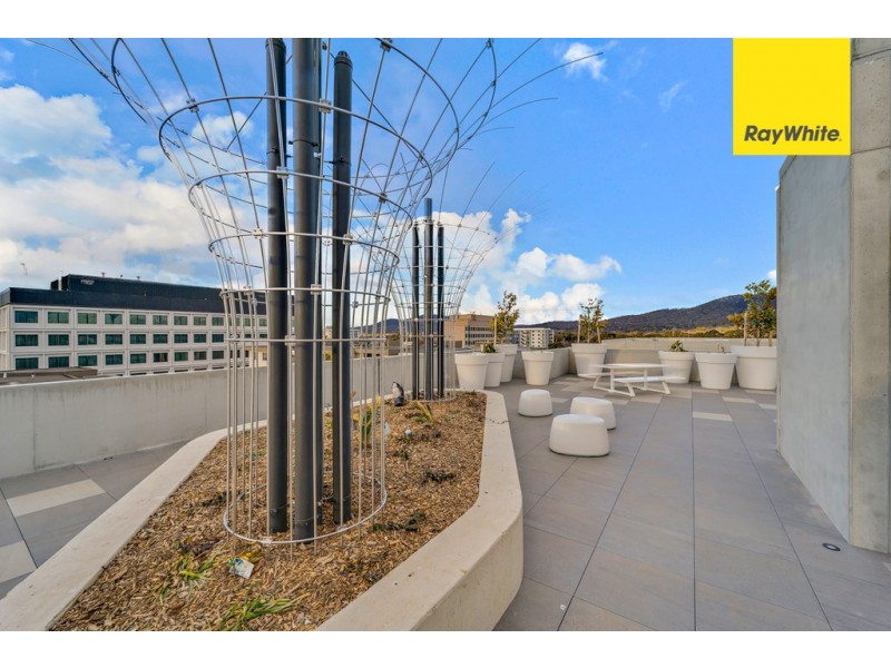 124/217 Northbourne Avenue, Turner ACT 2612