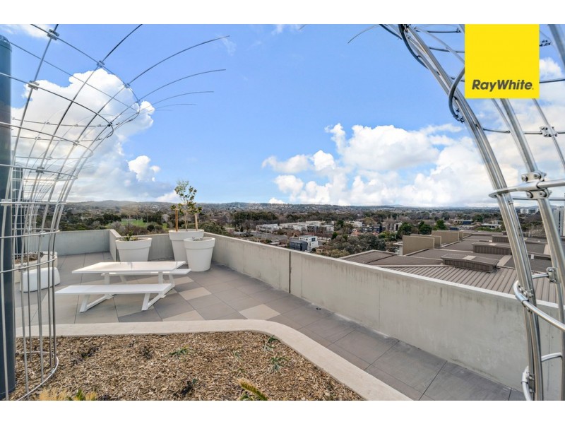 124/217 Northbourne Avenue, Turner ACT 2612