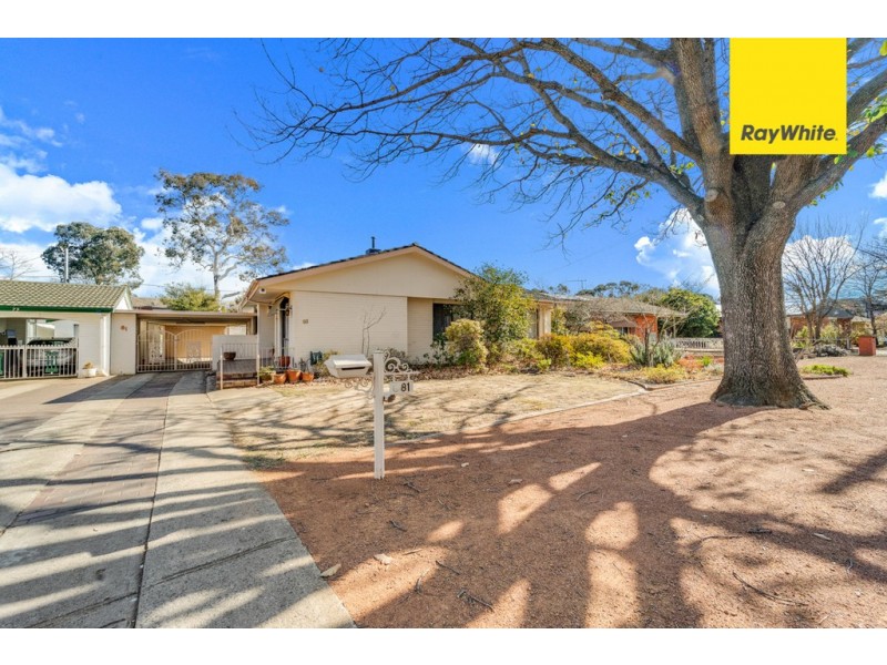 81 Wilshire Street, Dickson ACT 2602