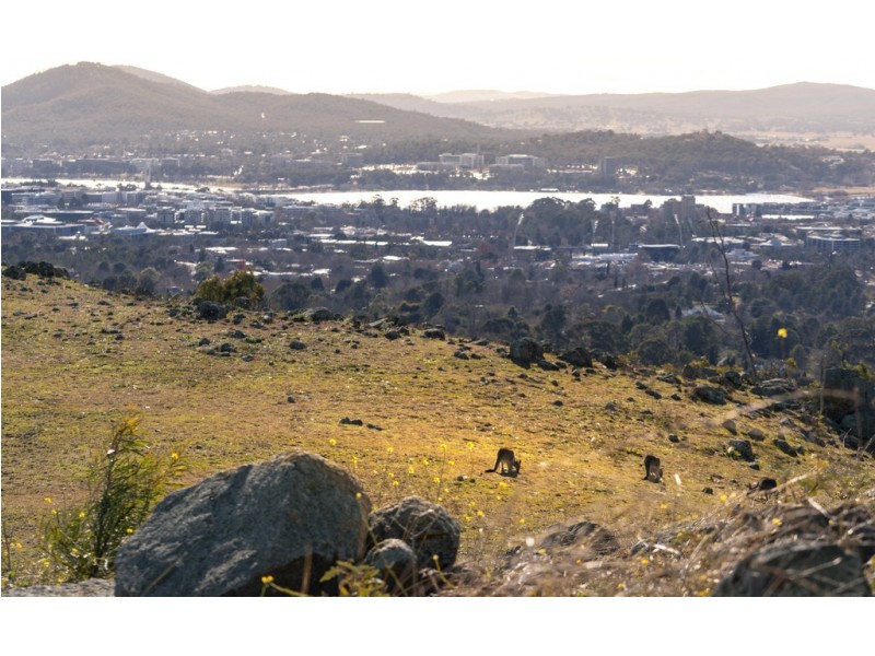 179/7 Irving Street, Phillip ACT 2606