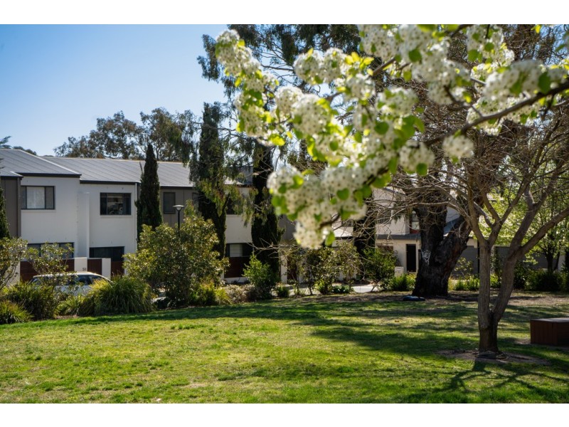 49/215 Aspinall Street, Watson ACT 2602