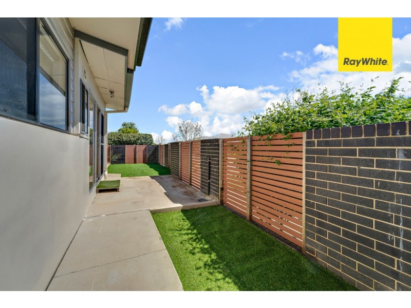 77 Zanci Street, Crace ACT 2911