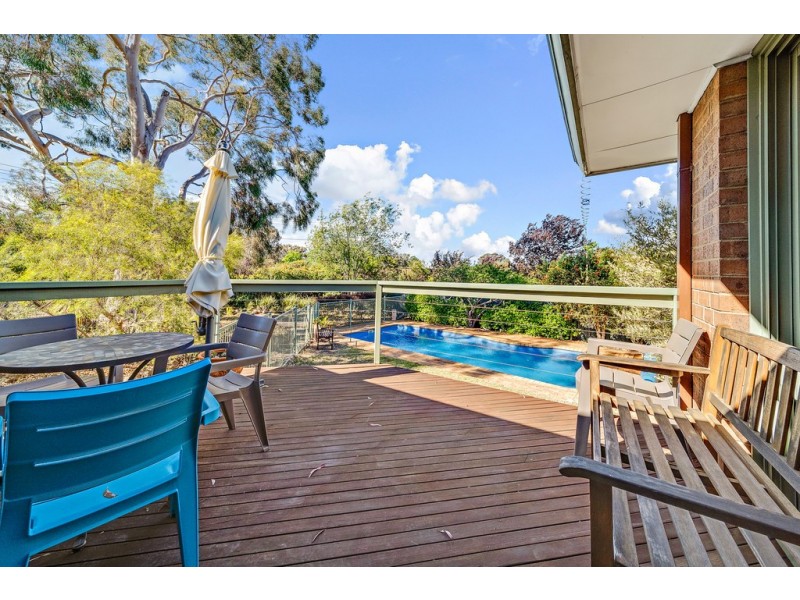 16 Harcourt Street, Weetangera ACT 2614