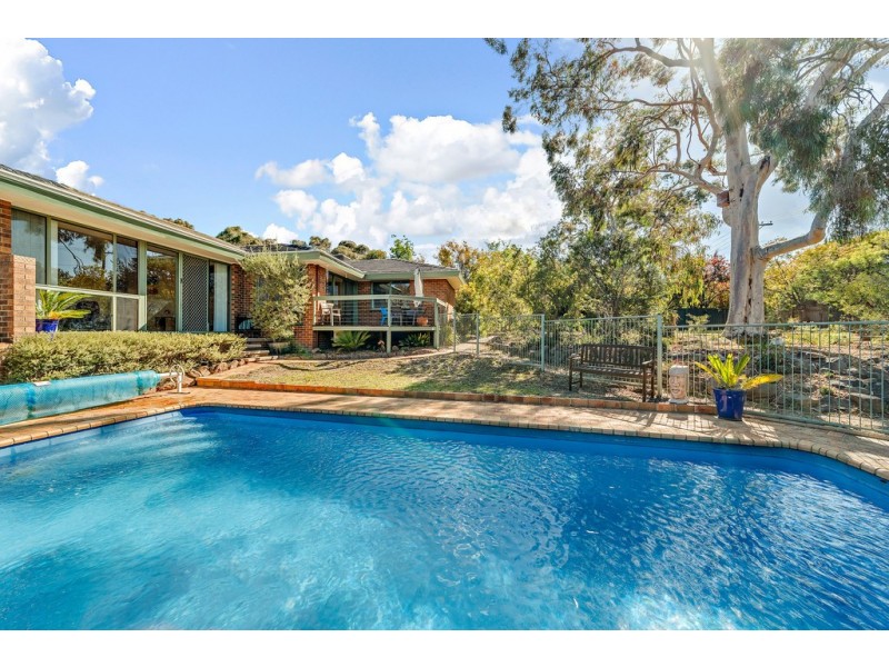 16 Harcourt Street, Weetangera ACT 2614