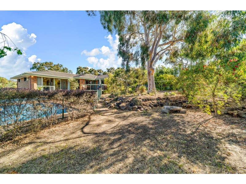 16 Harcourt Street, Weetangera ACT 2614