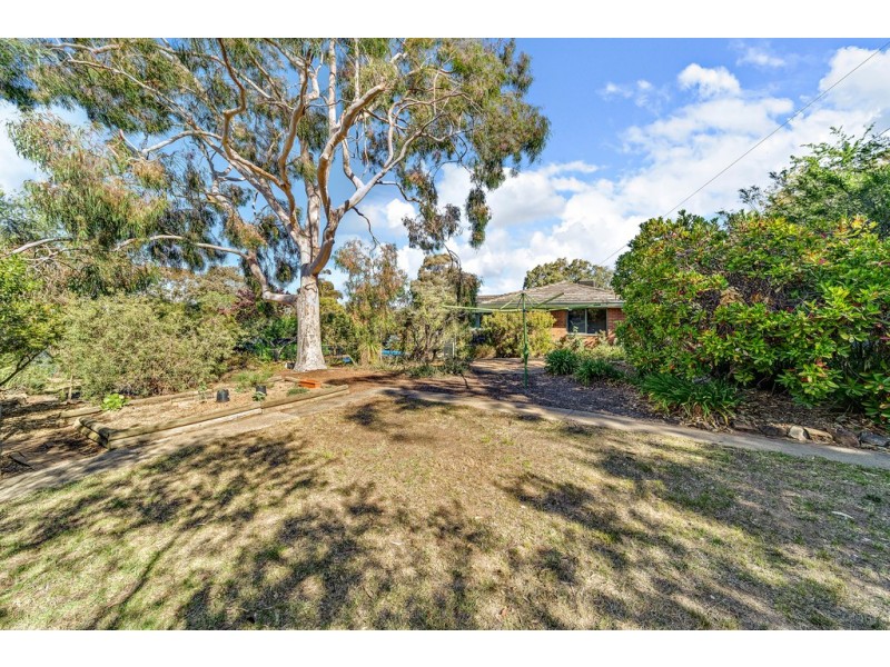 16 Harcourt Street, Weetangera ACT 2614