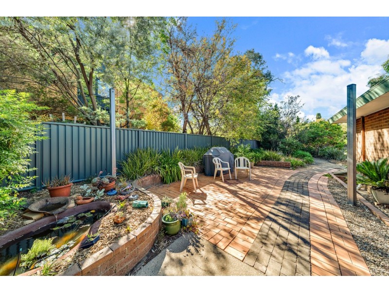 16 Harcourt Street, Weetangera ACT 2614