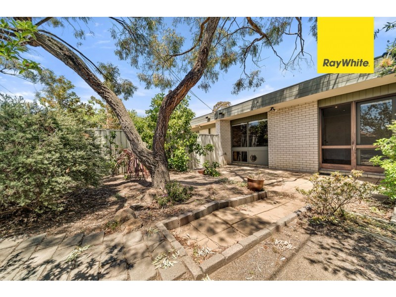20A Wenholz Street, Farrer ACT 2607