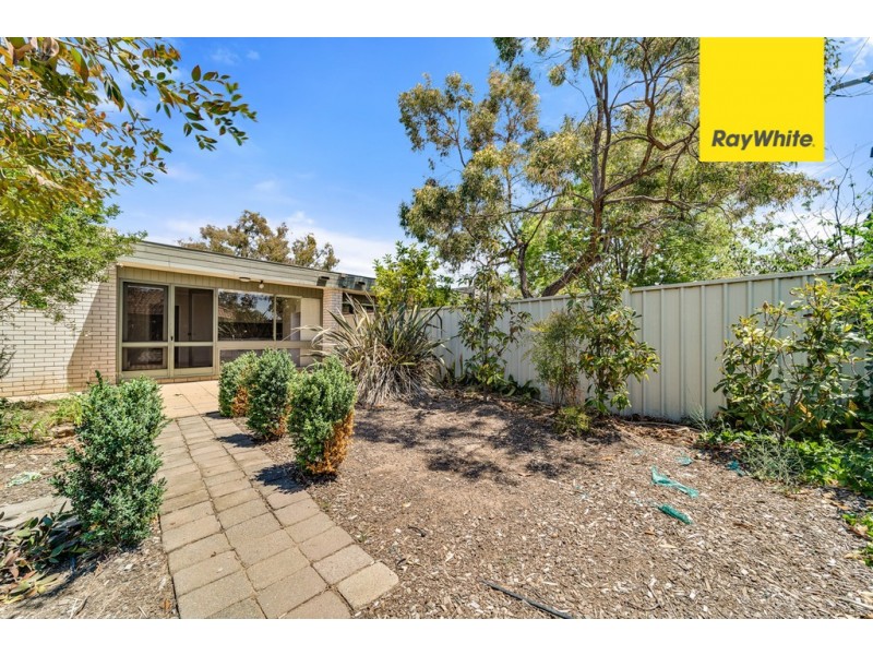 20B Wenholz Street, Farrer ACT 2607