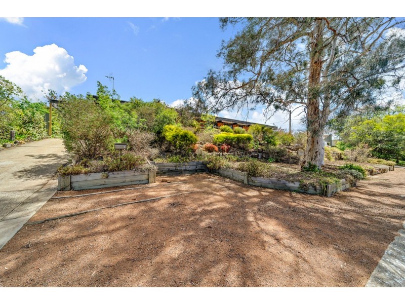 3 Andado Place, Hawker ACT 2614