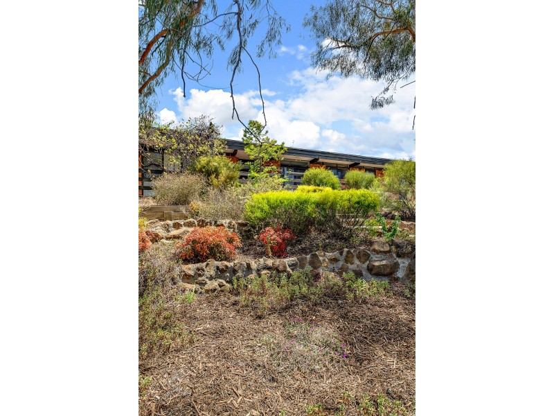 3 Andado Place, Hawker ACT 2614