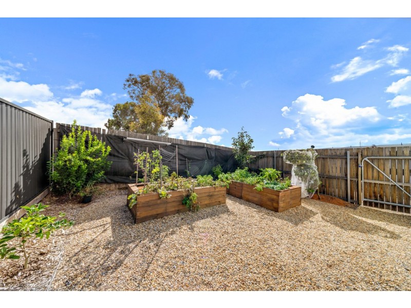 70/2 Rouseabout Street, Lawson ACT 2617