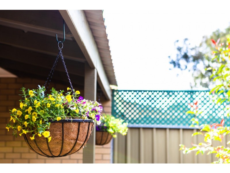 56 Enright Crescent, Florey ACT 2615
