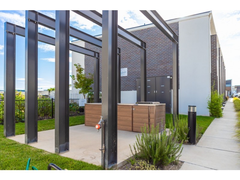 53/2 Rouseabout Street, Lawson ACT 2617
