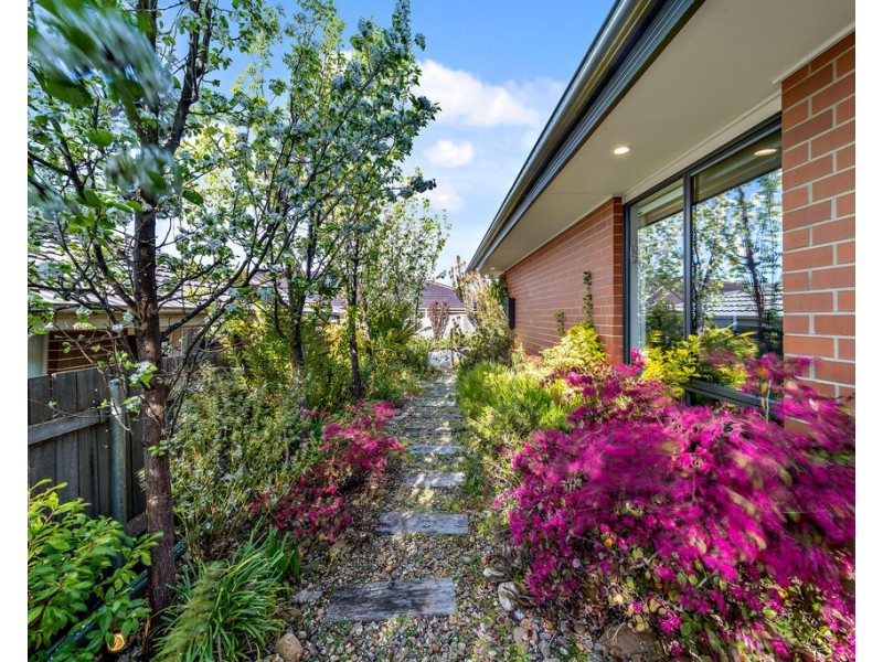 12 Lanaba Street, Crace ACT 2911