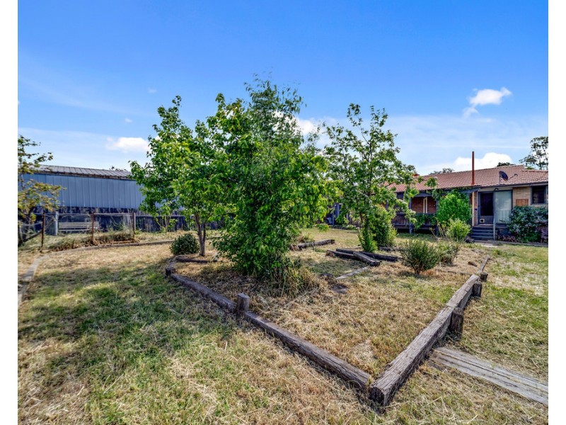 56 O’Sullivan Street, Higgins ACT 2615