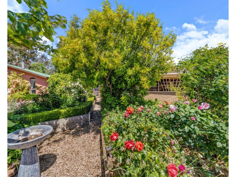 16 Gurner Place, Latham ACT 2615