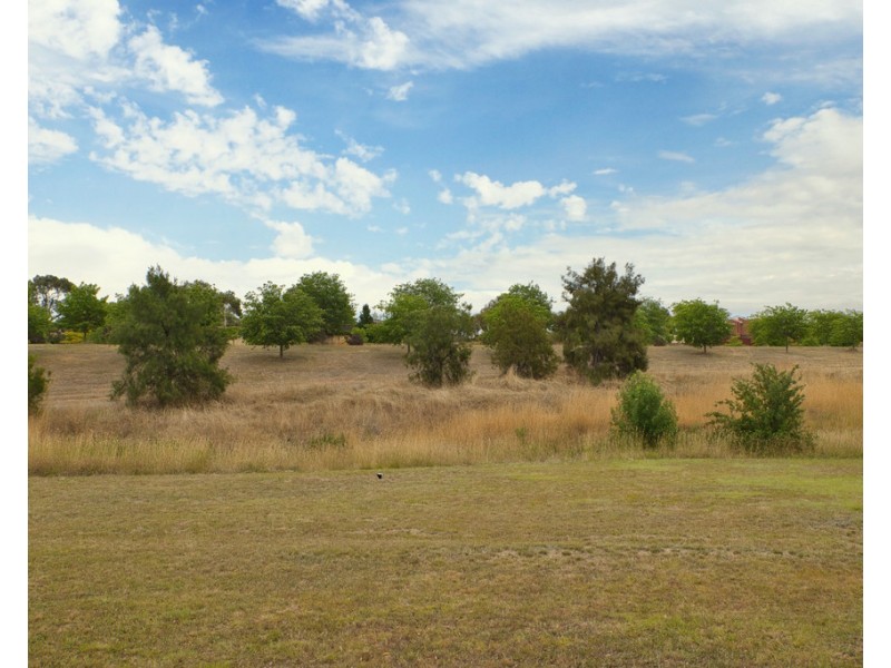 52 Wanderer Court, Amaroo ACT 2914