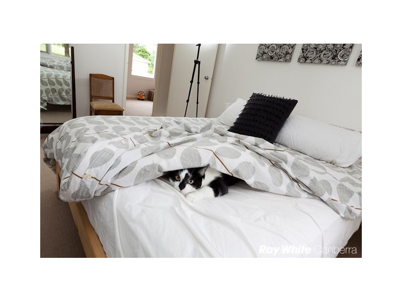 32 Cotton Street, Downer ACT 2602