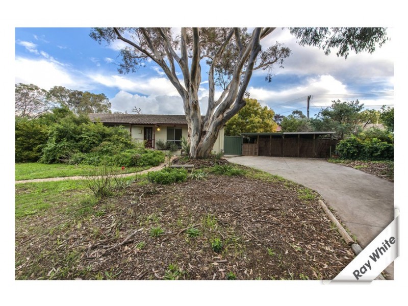 16 Biraban Place, Macquarie ACT 2614