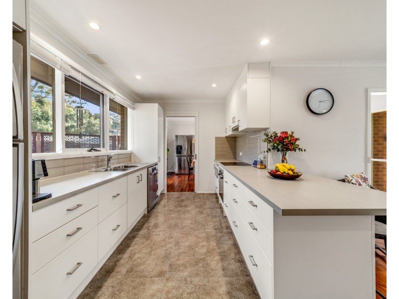 11 Ashburner Street, Higgins ACT 2615