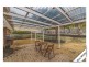 33 Tipiloura Street, Ngunnawal ACT 2913
