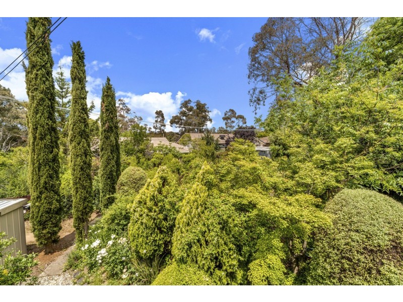 11 Crace Street, Weetangera ACT 2614