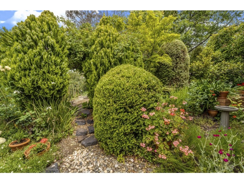 11 Crace Street, Weetangera ACT 2614