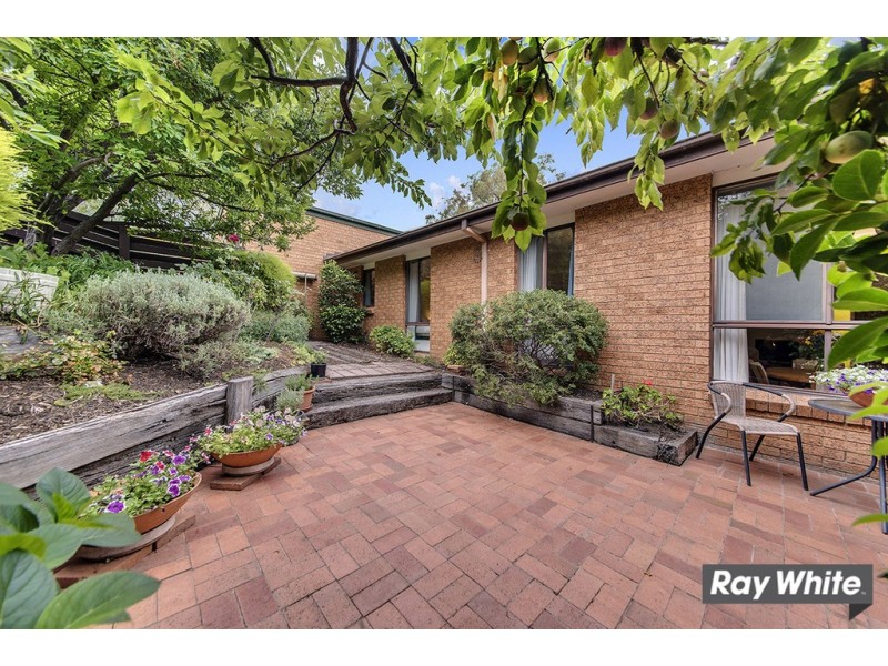 1/2 Sexton Street, Cook ACT 2614