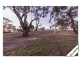 5/8 Proserpine Circuit, Amaroo ACT 2914
