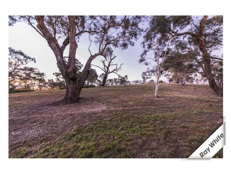 5/8 Proserpine Circuit, Amaroo ACT 2914
