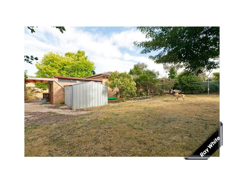 44 Cartwright Street, Charnwood ACT 2615