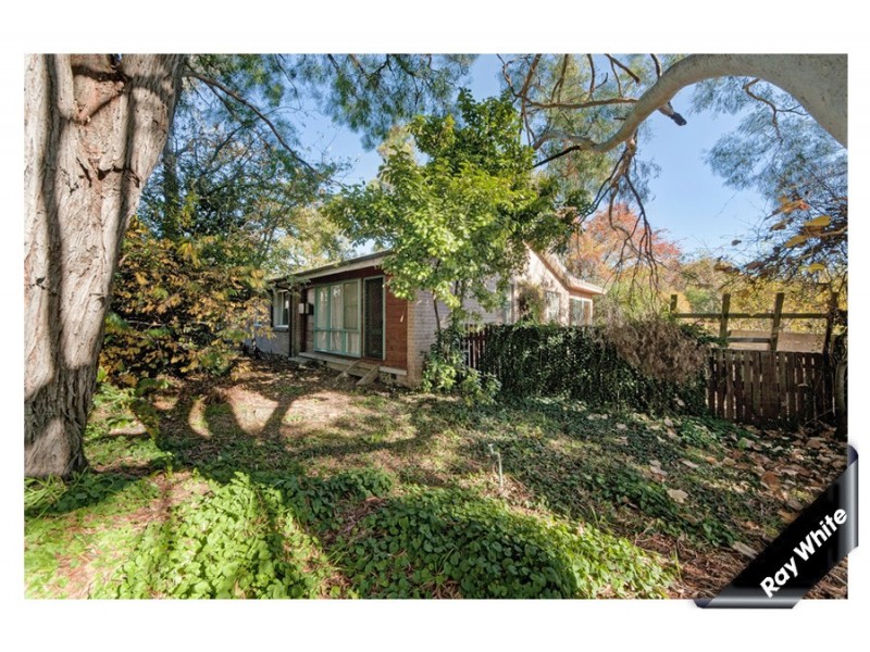 38 Robertson Street, Curtin ACT 2605