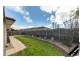 19 Rollston Street, Amaroo ACT 2914